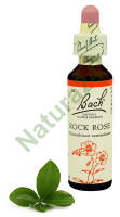 26. ROCK ROSE / Posłonek kutnerowaty 20 ml Nelson Bach Original Flower Remedies