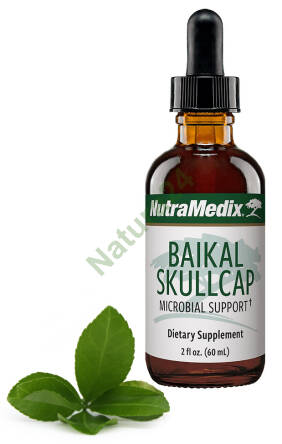 Baikal Skullcap NutraMedix 60ml