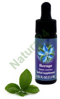 FES Borage 7,5 ml krople