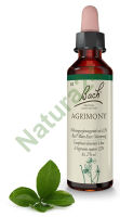 1. AGRIMONY / Rzepik pospolity 20 ml Nelson Bach Original Flower Remedies deutsch