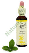 13. GORSE / Kolcolist zachodni 20 ml Nelson Bach Original Flower Remedies