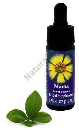 FES Madia 7,5 ml krople