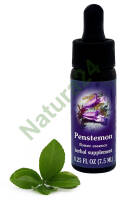 FES Penstemon 7,5 ml krople