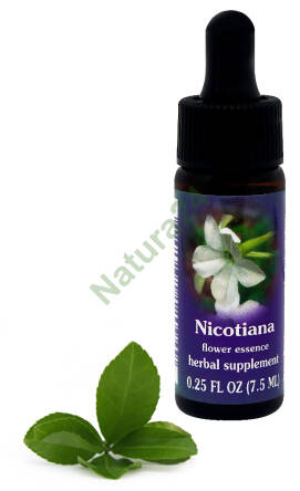 FES Nicotiana 7,5 ml krople