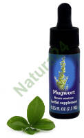 FES Mugwort 7,5 ml krople