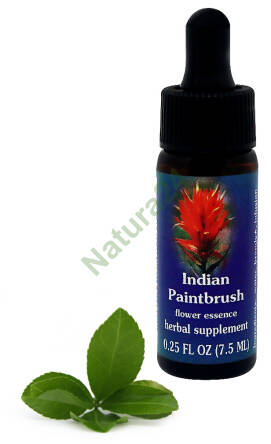 FES Indian Paintbrush 7,5 ml krople