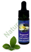 FES Dogwood 7,5 ml krople