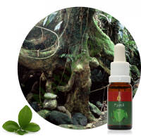 Pyatã 15 ml Ararêtama Rainforest Essences ARF01023