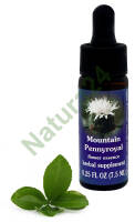 FES Mountain Pennyroyal 7,5 ml krople