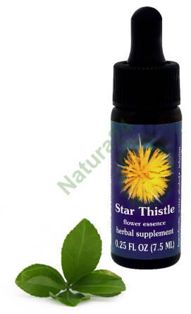 FES Star Thistle 7,5 ml krople