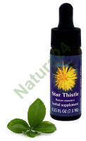 FES Star Thistle 7,5 ml krople