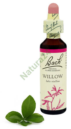 38. WILLOW / Wierzba biała 20 ml Nelson Bach Original Flower Remedies