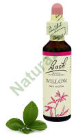 38. WILLOW / Wierzba biała 20 ml Nelson Bach Original Flower Remedies