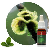Moara 15 ml Ararêtama Rainforest Essences ARF01029