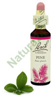 24. PINE / Sosna 20 ml Nelson Bach Original Flower Remedies