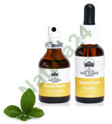Bossy Boots - spray/krople 30 ml - Australian Bush Flower Essences -30%