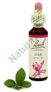 22. OAK / Dąb szypułkowy 20 ml Nelson Bach Original Flower Remedies