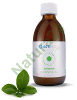 Liposomalna Chryzyna 250ml ActiNovo