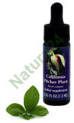 FES California Pitcher Plant 7,5 ml krople