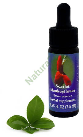 FES Scarlet Monkeyflower 7,5 ml krople