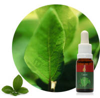 Tassi 15 ml Ararêtama Rainforest Essences ARF01030