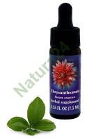 FES Chrysanthemum 7,5 ml krople