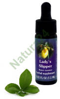 FES Lady’s Slipper 7,5 ml krople