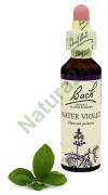 34. WATER VIOLET / Okrężnica bagienna/ Fiołek 20 ml Nelson Bach Original Flower Remedies