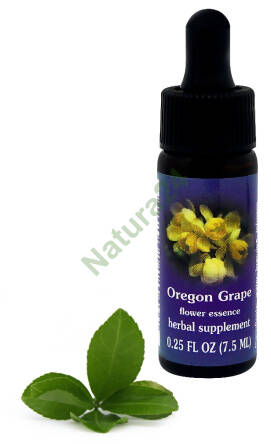 FES Oregon Grape 7,5 ml krople