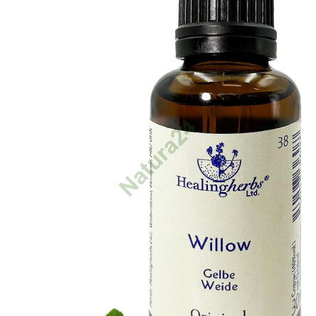 38. WILLOW / Wierzba biała 10/30 ml lub globulki 15 g - 3