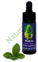 FES Mullein 7,5 ml krople