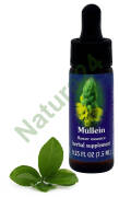 FES Mullein 7,5 ml krople