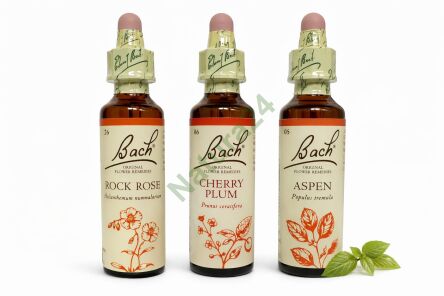 Zestaw wsparcia w stanach paniki