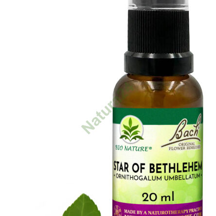 29. STAR OF BETHLEHEM / Gwiazda Betlejemska / Śniedek baldaszkowaty - Kompozycja Bach Original Flower Remedies Nelson 20ml - 2
