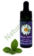 FES Shasta Daisy 7,5 ml krople