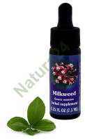 FES Milkweed 7,5 ml krople