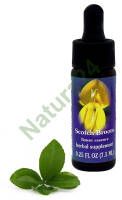 FES Scotch Broom 7,5 ml krople