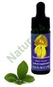 FES Scotch Broom 7,5 ml krople