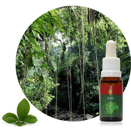 Imbe 15 ml Ararêtama Rainforest Essences ARF01012