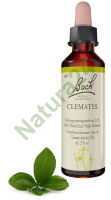 9. CLEMATIS / Powojnik pnący 20 ml Nelson Bach Original Flower Remedies deutsch