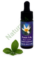 FES Fawn Lily 7,5 ml krople