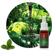 Rudá 15 ml Ararêtama Rainforest Essences ARF01026