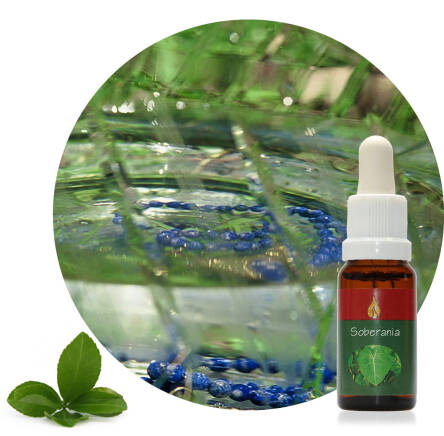 Soberania 20 ml Ararêtama Rainforest Essences ARF01041