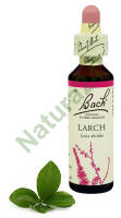 19. LARCH / Modrzew europejski 20 ml Nelson Bach Original Flower Remedies