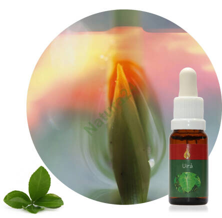 Uirá 15 ml Ararêtama Rainforest Essences ARF01033