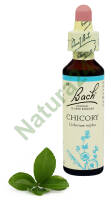 8. CHICORY / Cykoria podróżnik 20 ml Nelson Bach Original Flower Remedies