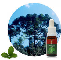 Ararybá 15 ml Ararêtama Rainforest Essences ARF01001