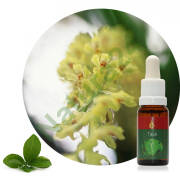 Tauá 15 ml Ararêtama Rainforest Essences ARF01031