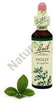 15. HOLLY / Ostrokrzew kolczasty 20 ml Nelson Bach Original Flower Remedies