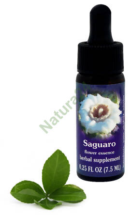 FES Saguaro 7,5 ml krople